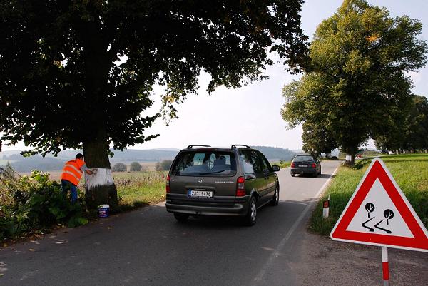 Dopravní značka „Pozor aleje“ a natírání stromů bílou barvou. (Foto: Jan Losenický)